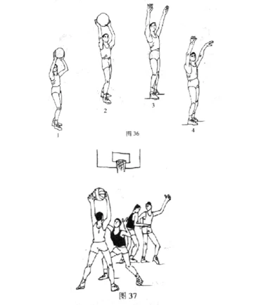 如何制定适合青少年的篮球轮换训练计划_1